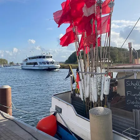 Appartamento Boddenferienhaus - 13 Treibholz *