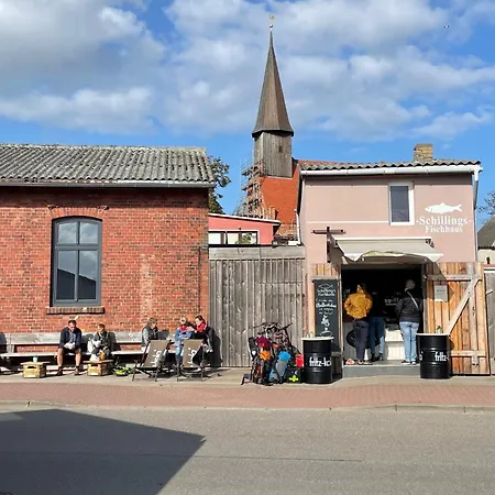 Boddenferienhaus - 13 Treibholz Schaprode