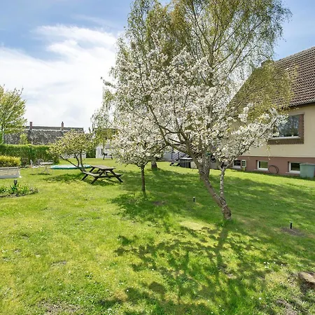 Boddenferienhaus - 13 Treibholz Schaprode