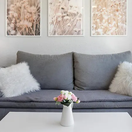 Appartamento Boddenferienhaus - 13 Treibholz Schaprode